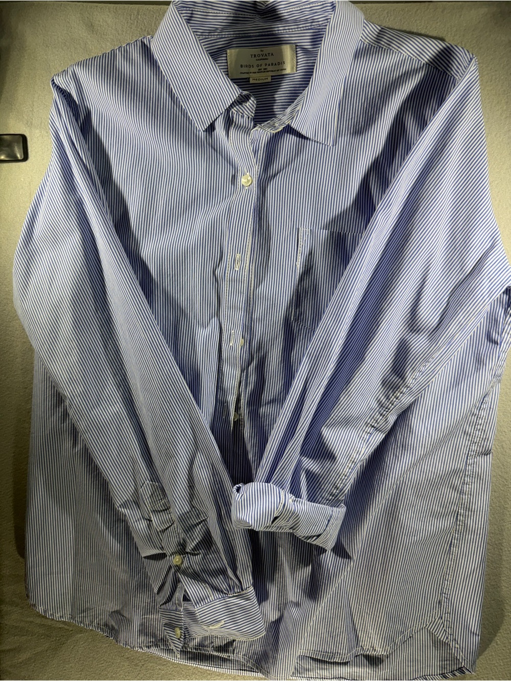 Trovata Blue and White Pinstripe Men's Dress Shirt